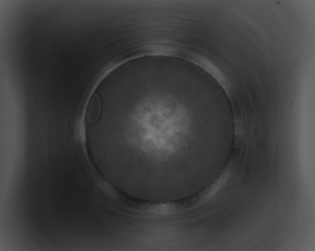X0000100910891200806241311