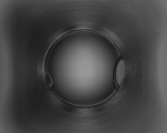 X0000100910892200806241311