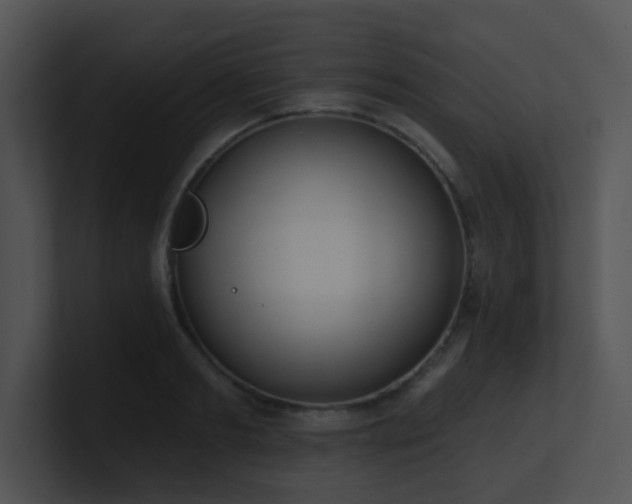 X0000100910893200806241311