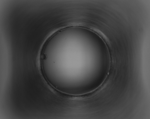 X0000100910894200806241310