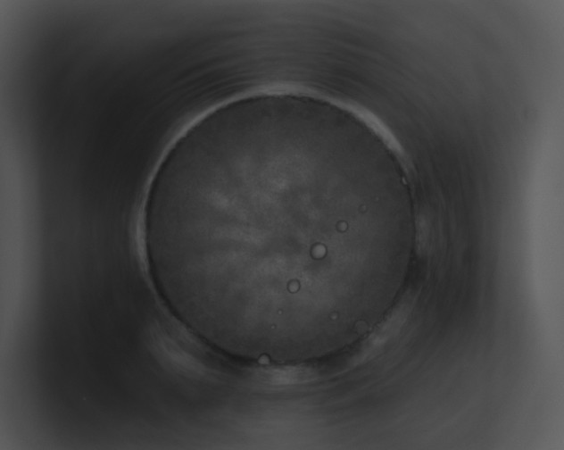 X0000100910895200806241310