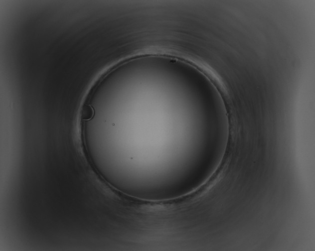 X0000100910896200806241310