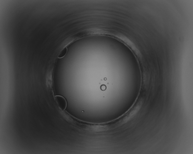 X0000100910897200806241310