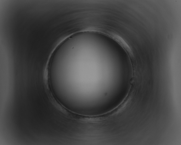 X0000100910900200806241310