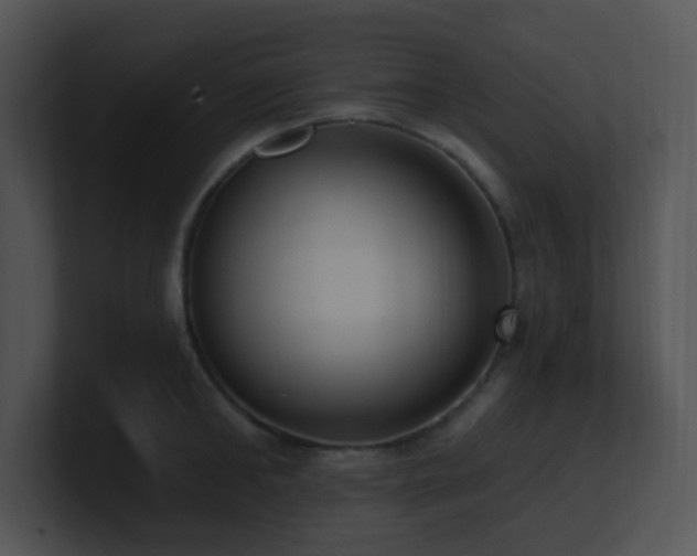 X0000100910902200806241310