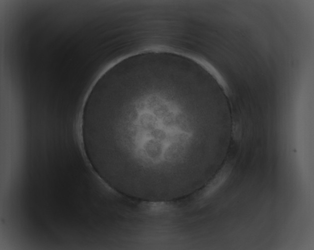 X0000100910903200806241310