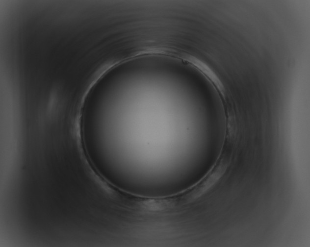 X0000100910906200806241310