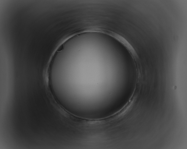 X0000100910908200806241310