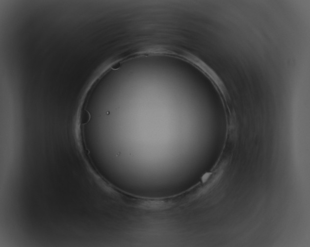X0000100910909200806241310