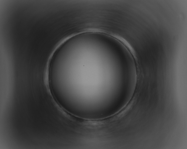X0000100910910200806241310