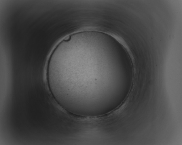 X0000100910912200806241310