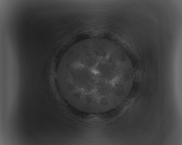 X0000100910913200806241310