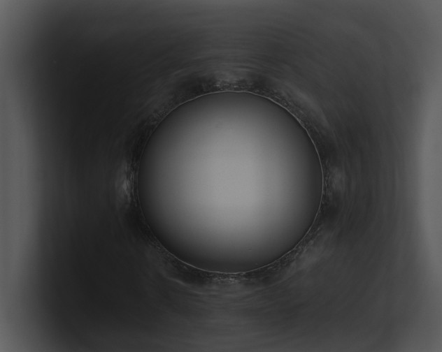 X0000100910914200806241310