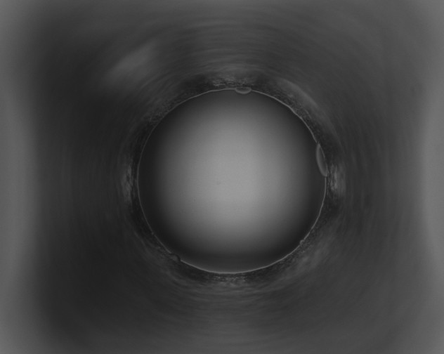 X0000100910915200806241310