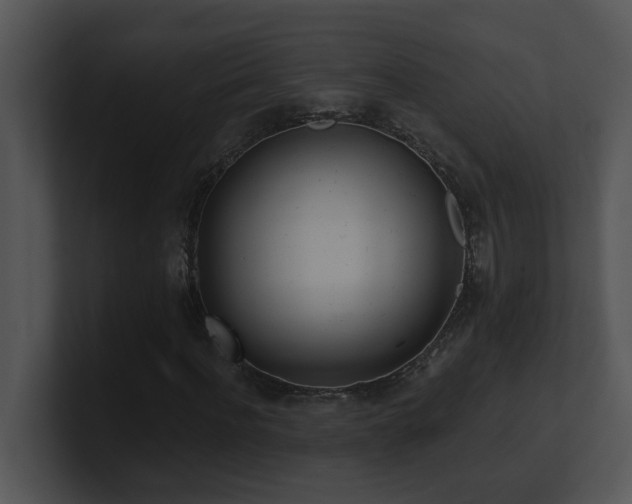 X0000100910916200806241310