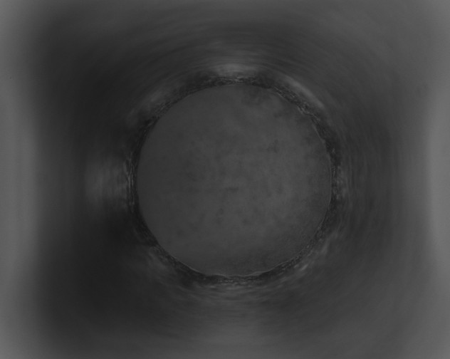 X0000100910917200806241310