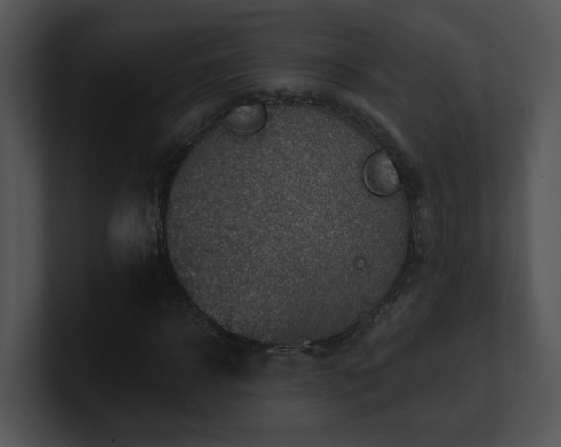 X0000100910918200806241310