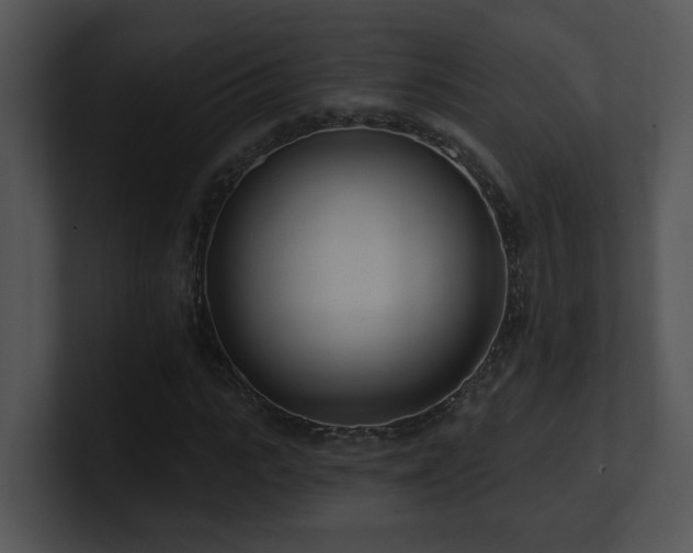 X0000100910919200806241310