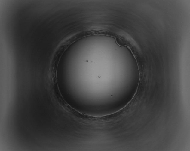 X0000100910920200806241310