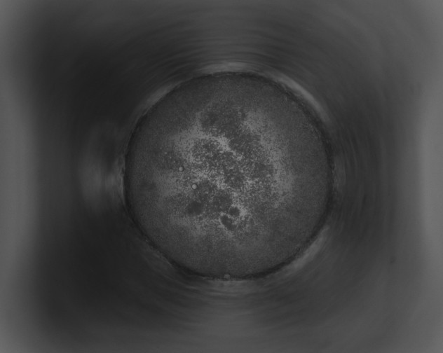 X0000100910921200806241310