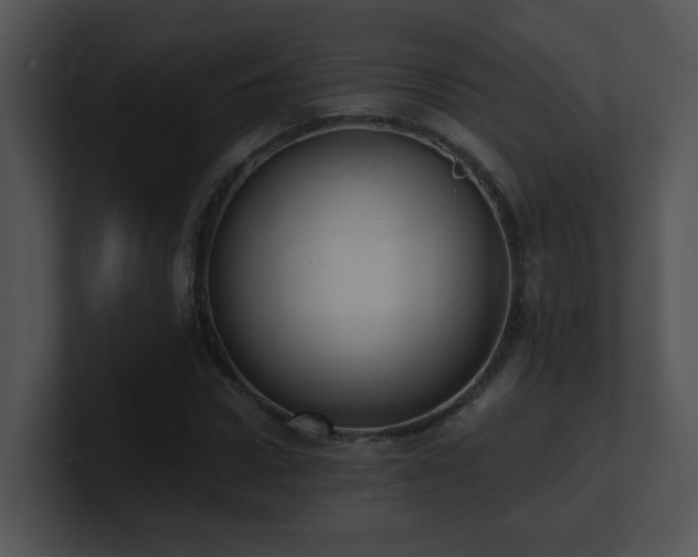 X0000100910922200806241310