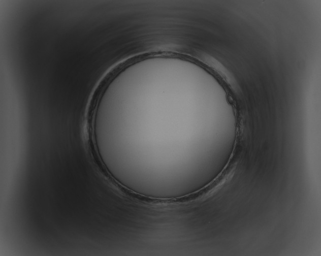 X0000100910924200806241310