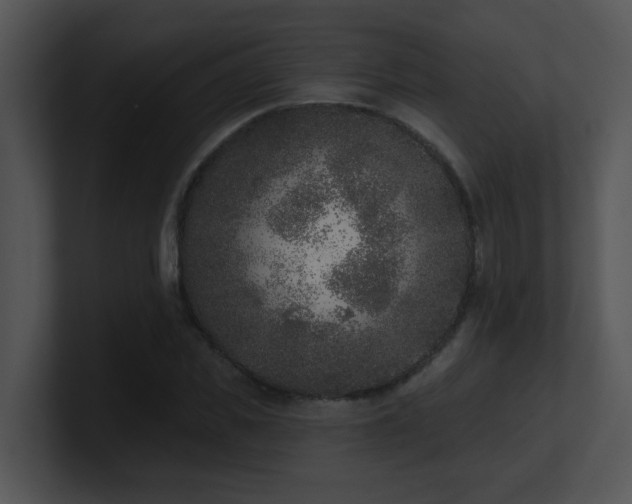 X0000100910925200806241310