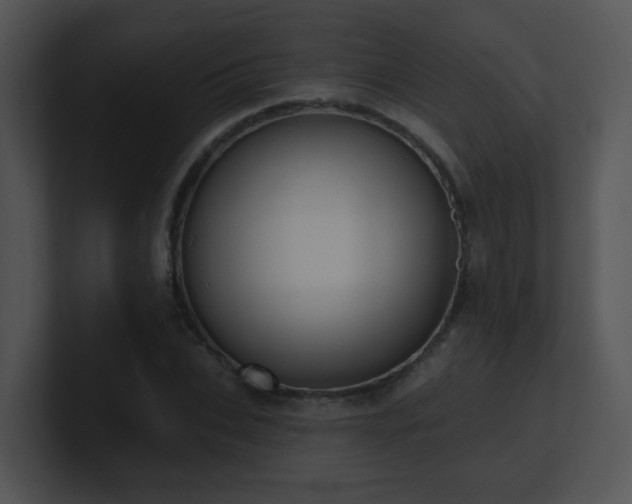 X0000100910927200806241310