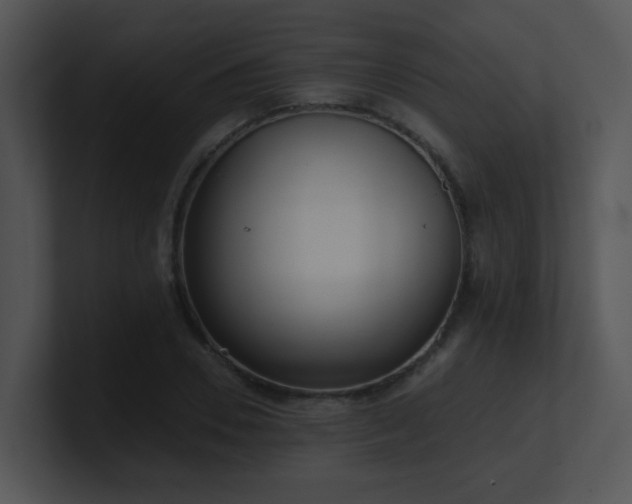 X0000100910930200806241310