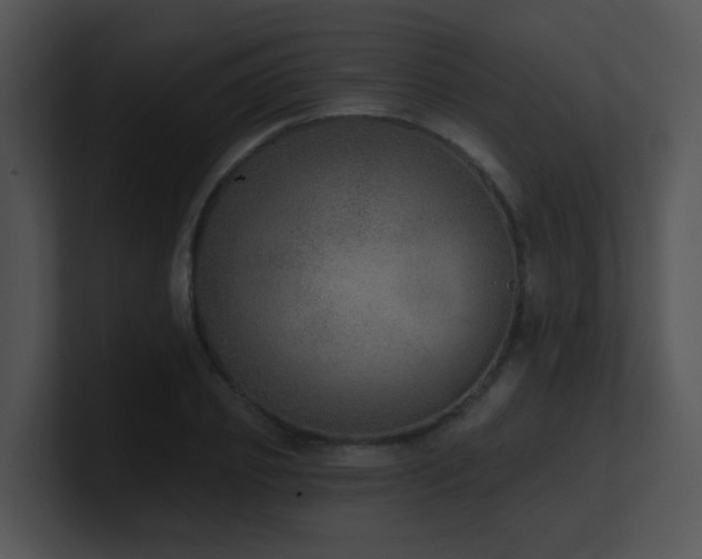 X0000100910933200806241310