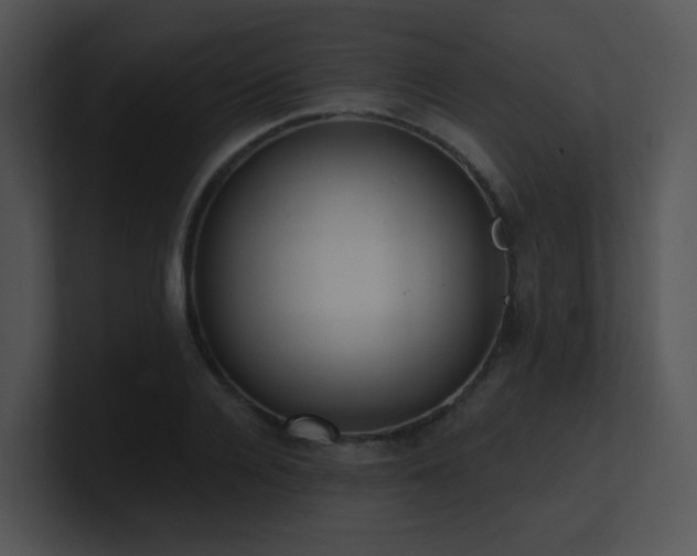 X0000100910936200806241310