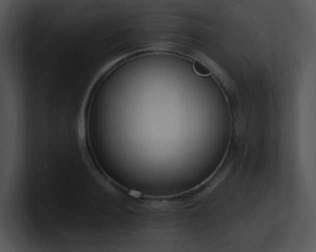 X0000100910940200806241310