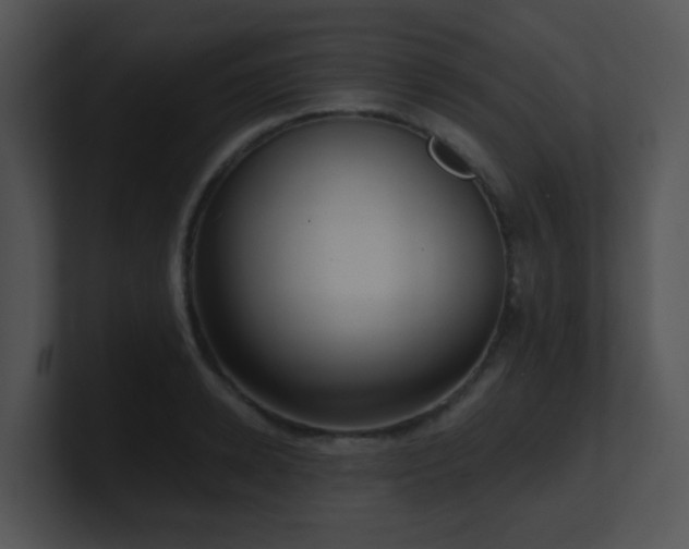 X0000100910942200806241310