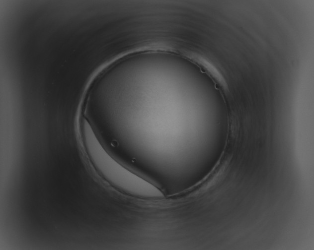 X0000100910944200806241310