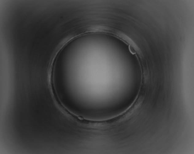 X0000100910946200806241310
