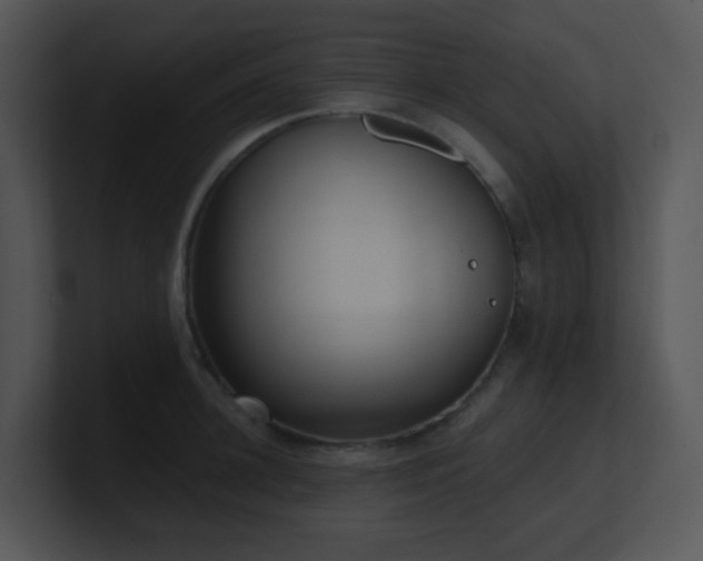 X0000100910948200806241310