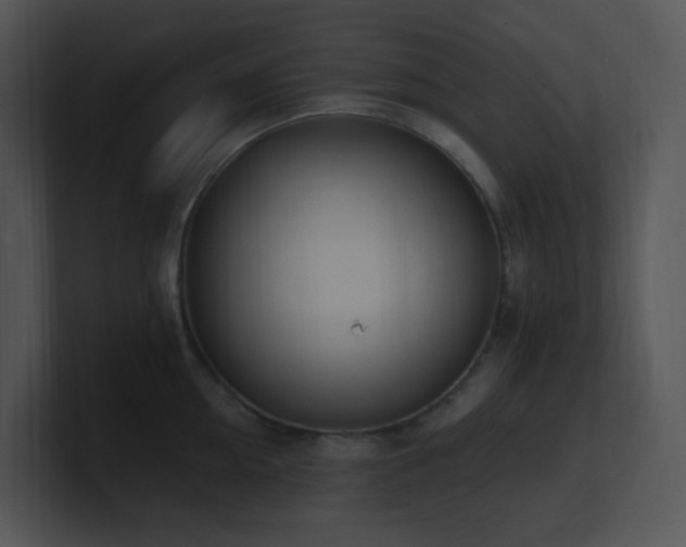 X0000100910954200806241310