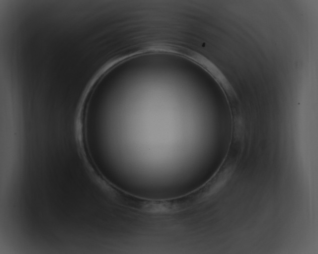 X0000100910955200806241310