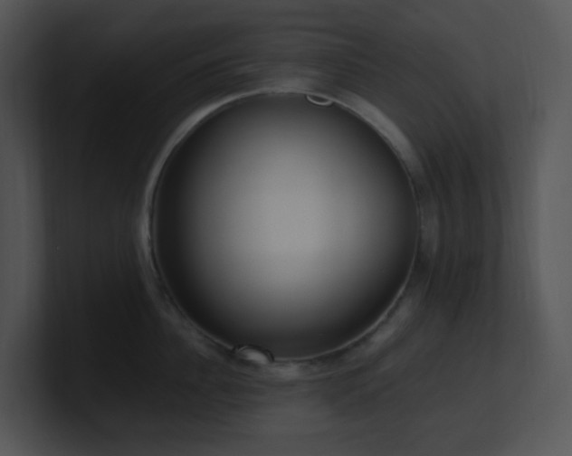 X0000100910956200806241310