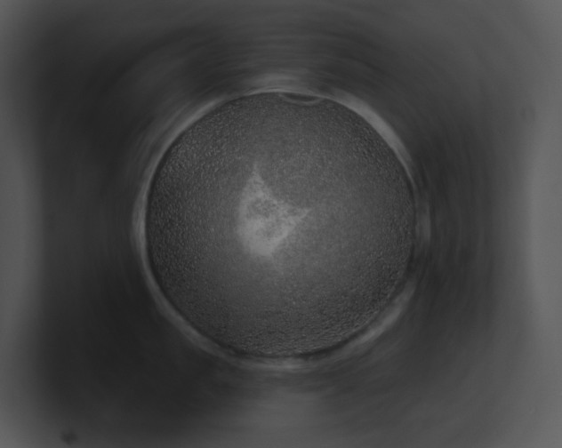 X0000100910957200806241310