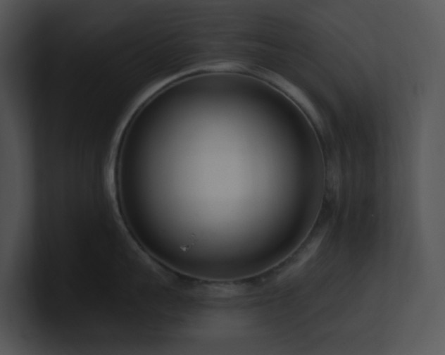 X0000100910959200806241310