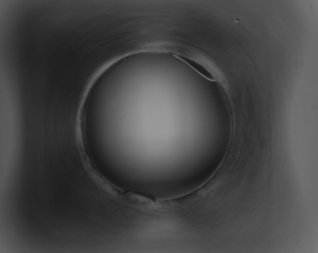 X0000100910960200806241310