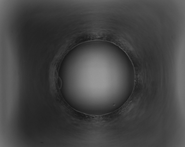 X0000100910961200806241310