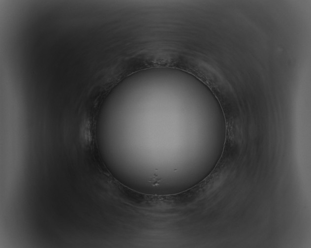 X0000100910962200806241310