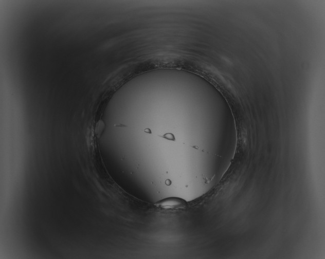 X0000100910964200806241310