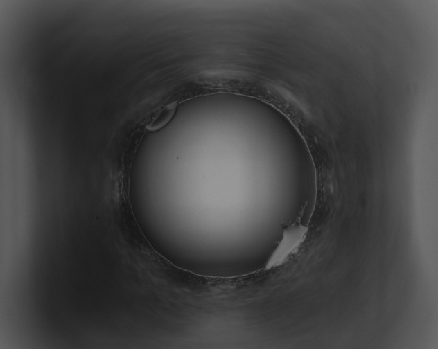X0000100910965200806241310