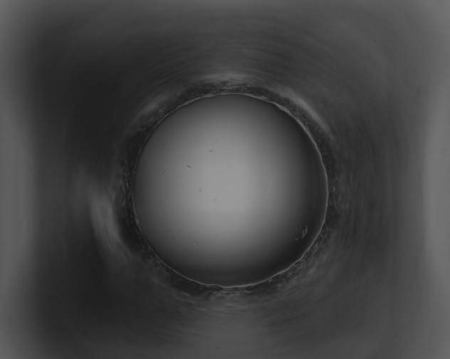 X0000100910967200806241309