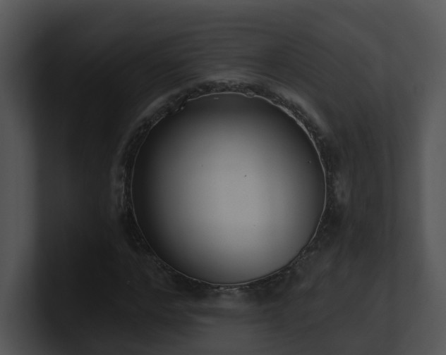 X0000100910968200806241309