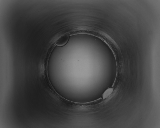 X0000100910969200806241309