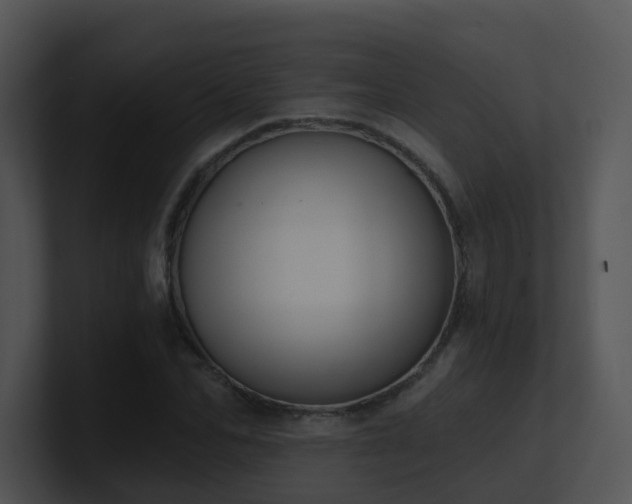 X0000100910974200806241309